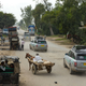 Image for article titled Land Rover Completes World’s First Hybrid Expedition Along Silk Trail From Solihull To Mumbai